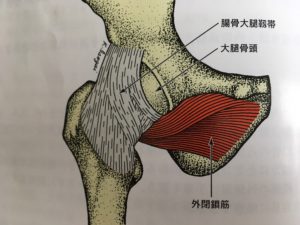 ろ きん っ がいせん そう しん 深層筋のストレッチ、ほぐし方（セルフケア）