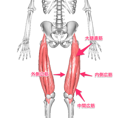 大腿四頭筋の痛み 松本深圧院 ル サロン銀座